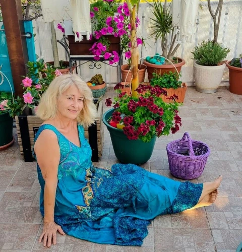 Paloma en casa