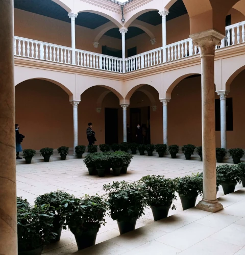 Patio andaluz
