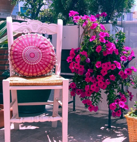 Silla cojin planta